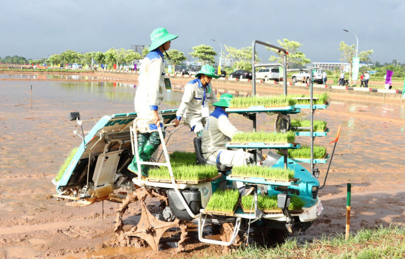 Sử dụng máy cấy trong sản xuất vụ mùa năm 2024 tại xã Nam Phong, huyện Phú Xuyên. Ảnh: H.G